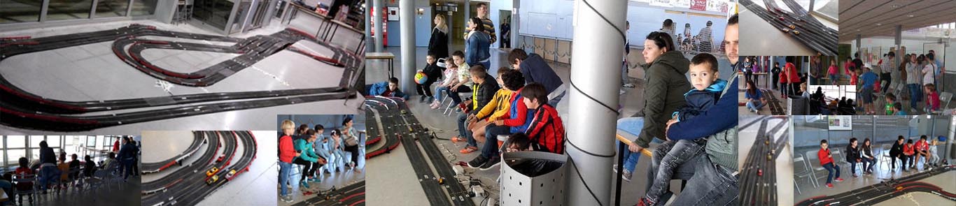 Ardslot a Alpicat 2016